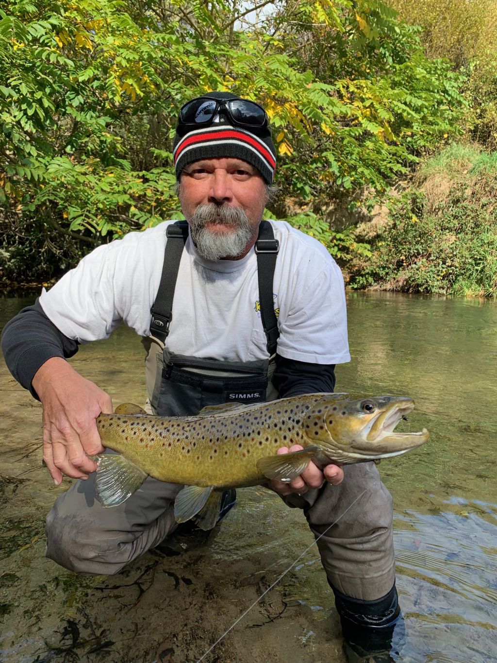 Fly Fishing Rotorua Fish & Cruise Rotorua, NZ