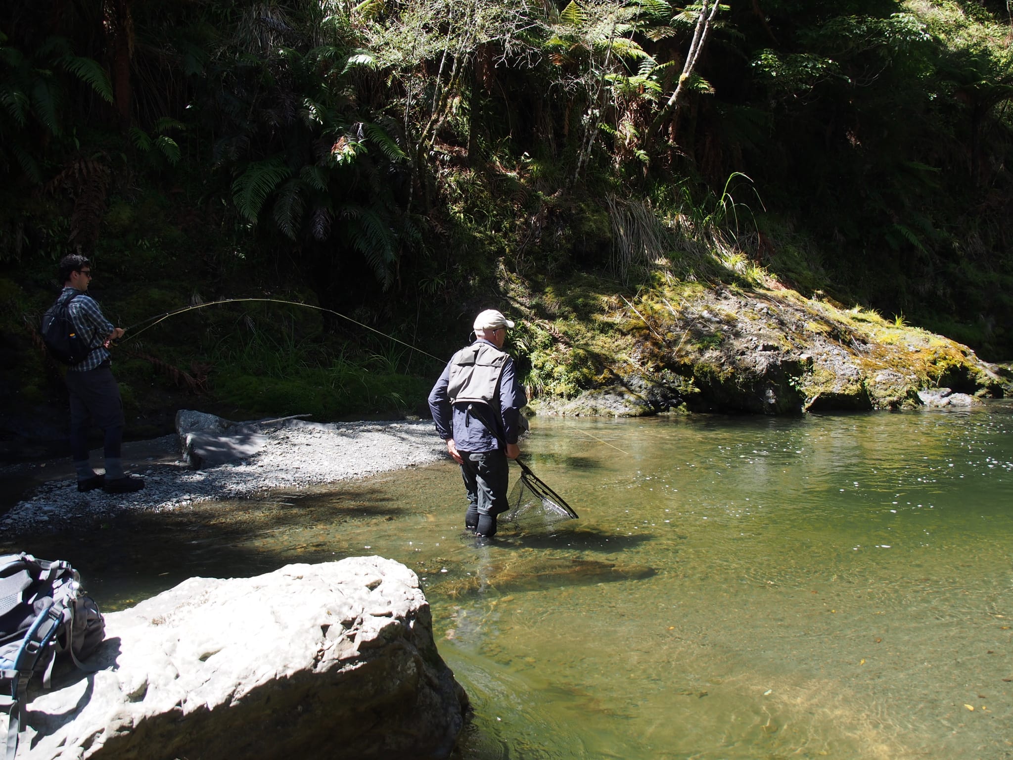 Guiding Rates Fly Fishing Rotorua Cruise & Fish, NZ